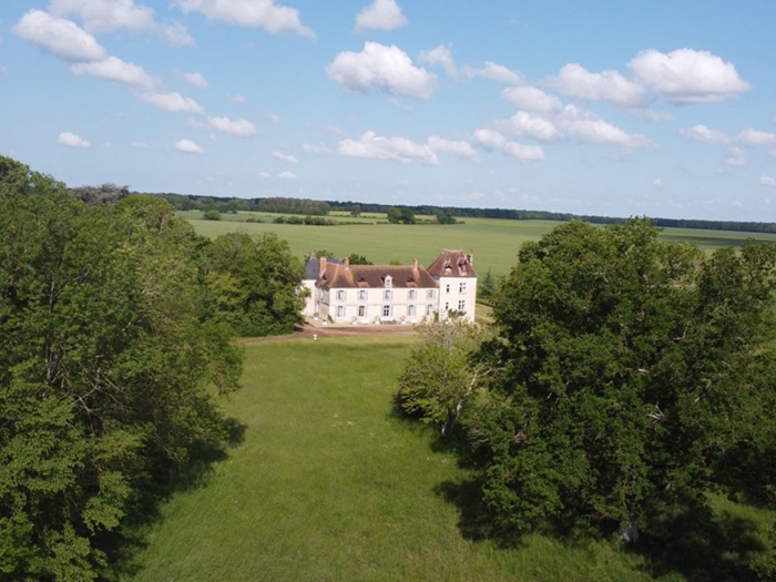 achat vente Château a vendre  , dépendances Châteauneuf-sur-Cher , à 31 kms Bourges, 3h Paris CHER CENTRE