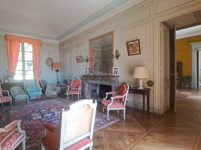 achat vente Château Classique a vendre  , dépendances, pigeonnier, maison annexe Roanne , à 21km, au cœur de son domaine LOIRE RHONE ALPES
