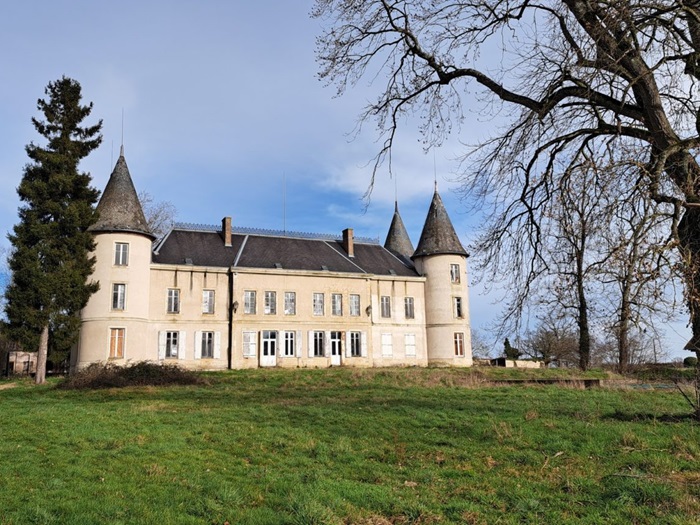 achat vente Château Napoléon III a vendre  à restaurer , dépendances Moulins , en campagne ALLIER AUVERGNE