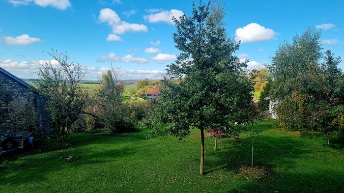 achat vente Authentique Presbytère a vendre  restauré , dépendance, gîte Bourbonne-les-Bains  à 25 mn, 40 mn Vesoul, dans un charmant village avec vue HAUTE SAONE FRANCHE COMTE