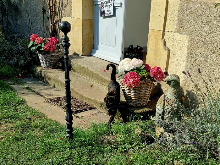 achat vente Authentique Presbytère a vendre  restauré , dépendance, gîte Bourbonne-les-Bains  à 25 mn, 40 mn Vesoul, dans un charmant village avec vue HAUTE SAONE FRANCHE COMTE