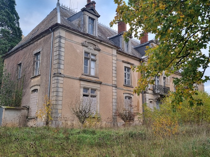 achat vente Château Classique a vendre  à restaurer , dépendances, maison de gardien Bourbonne-les-Bains  à 20 mn, 45 mn Vesoul HAUTE SAONE FRANCHE COMTE
