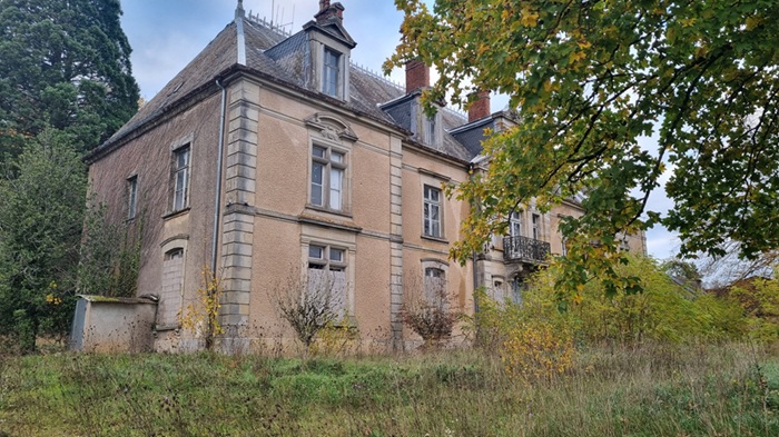 achat vente Château Classique a vendre  à restaurer , dépendances, maison de gardien Bourbonne-les-Bains  à 20 mn, 45 mn Vesoul HAUTE SAONE FRANCHE COMTE