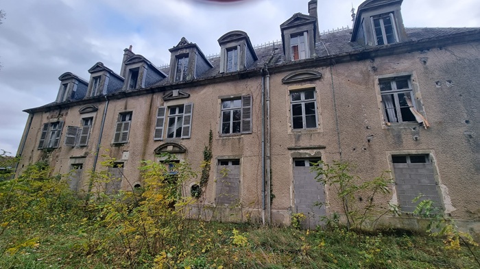 achat vente Château Classique a vendre  à restaurer , dépendances, maison de gardien Bourbonne-les-Bains  à 20 mn, 45 mn Vesoul HAUTE SAONE FRANCHE COMTE