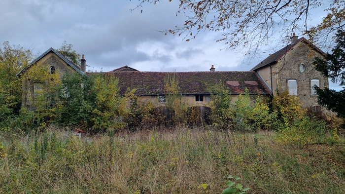 achat vente Château Classique a vendre  à restaurer , dépendances, maison de gardien Bourbonne-les-Bains  à 20 mn, 45 mn Vesoul HAUTE SAONE FRANCHE COMTE