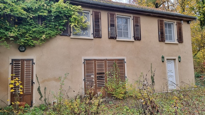 achat vente Château Classique a vendre  à restaurer , dépendances, maison de gardien Bourbonne-les-Bains  à 20 mn, 45 mn Vesoul HAUTE SAONE FRANCHE COMTE