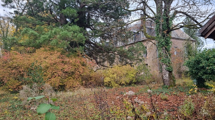 achat vente Château Classique a vendre  à restaurer , dépendances, maison de gardien Bourbonne-les-Bains  à 20 mn, 45 mn Vesoul HAUTE SAONE FRANCHE COMTE