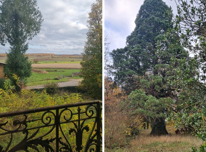 achat vente Château Classique a vendre  à restaurer , dépendances, maison de gardien Bourbonne-les-Bains  à 20 mn, 45 mn Vesoul HAUTE SAONE FRANCHE COMTE
