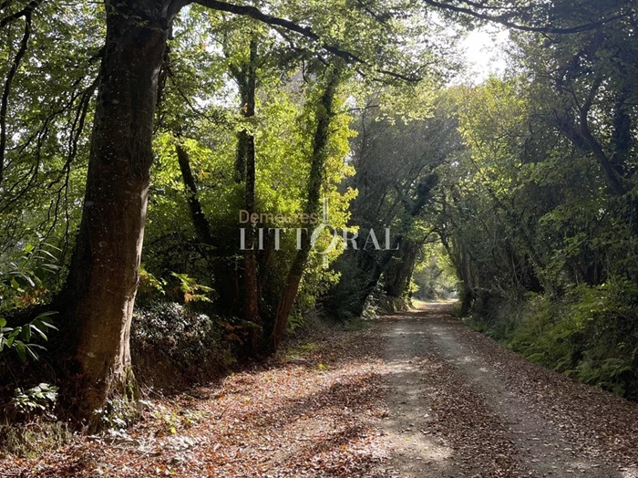 achat vente Propriété de charme a vendre  , dépendances, appartement indépendant Lannion , à quelques mn plages de Louannec COTE D'ARMOR BRETAGNE