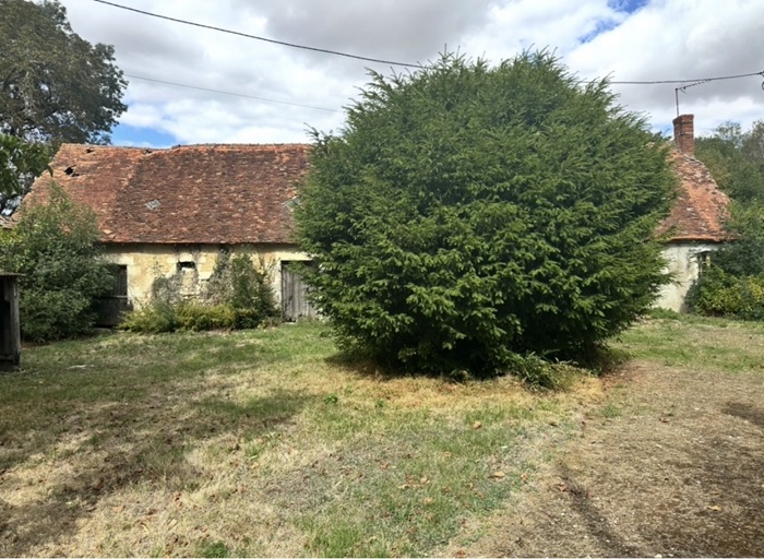 achat vente Maison de Maître a vendre  , dépendances Buzançais  , à quelques kilomètres, aux portes du Parc de la Brenne INDRE CENTRE