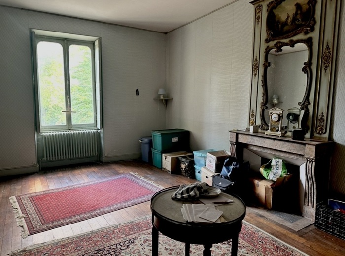 achat vente Maison de Maître a vendre  , dépendances Buzançais  , à quelques kilomètres, aux portes du Parc de la Brenne INDRE CENTRE