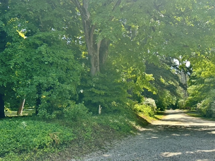 achat vente Château Classique a vendre  restauré , dépendances, maison de gardien (110 m2) Tours , à 50 mn (TGV), Paris 1 heure, au cœur de son parc INDRE ET LOIRE CENTRE