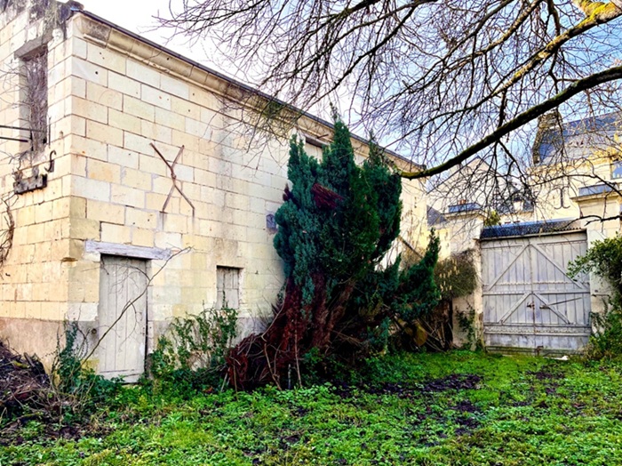 achat vente Partie d'Hôtel Particulier a vendre  à restaurer , dépendances, puits Candes-Saint-Martin , Plus Beaux Villages de France INDRE ET LOIRE CENTRE