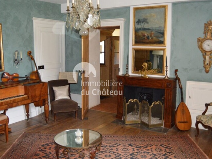 achat vente Château Classique a vendre  , dépendances, piscine Luzy , à 10 km, en bout d’impasse NIEVRE BOURGOGNE