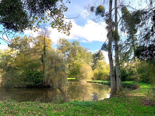 achat vente Château Classique a vendre  classé Monument Historique , dépendances Nord Allier , 2h30 Paris ALLIER AUVERGNE