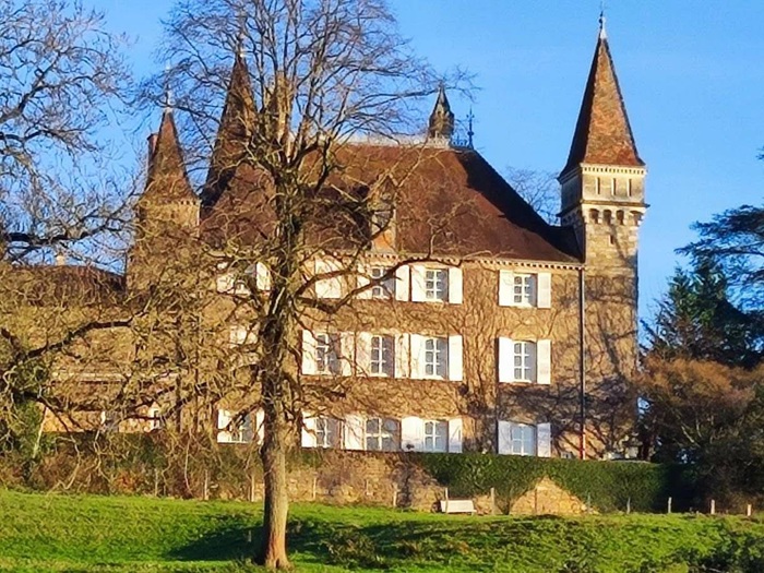 achat vente Château Classique a vendre  restauré , piscine Bourg-en-Bresse , à 30 mn, à l'orée d'un village AIN RHONE ALPES