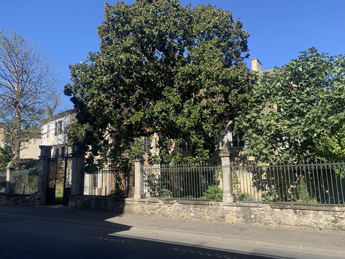 achat vente Manoir Urbain a vendre  à finir de restaurer , dépendance, 2nde maison indépendante Saint-Céré , tous commerces à pied LOT MIDI PYRENEES