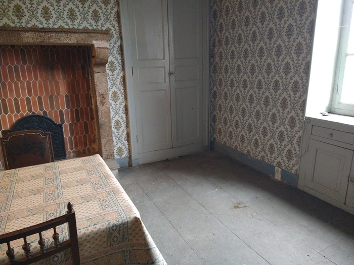 achat vente Maison de Maître a vendre  à restaurer , dépendance, puits Gannat , à 10 mn, 11mn A71, sans nuisances, très belles vues ALLIER AUVERGNE