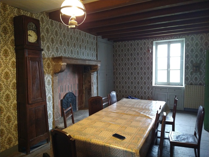 achat vente Maison de Maître a vendre  à restaurer , dépendance, puits Gannat , à 10 mn, 11mn A71, sans nuisances, très belles vues ALLIER AUVERGNE