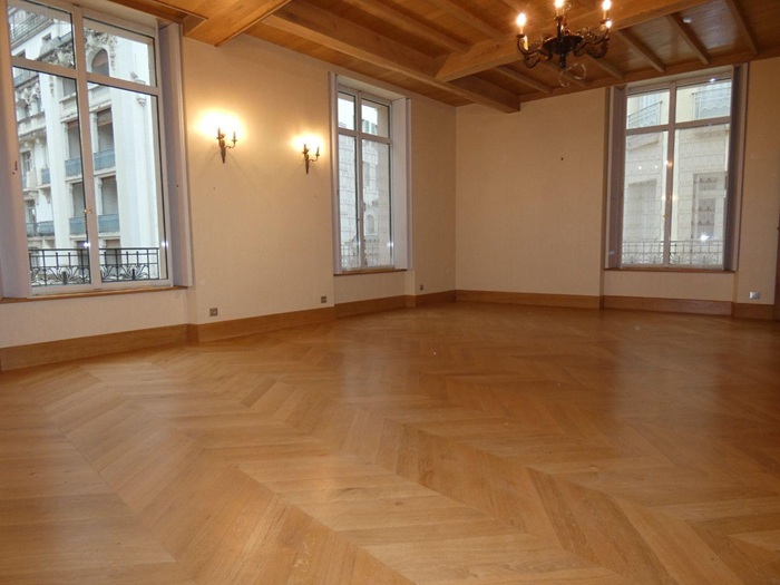 achat vente Ancien Hôtel Particulier a vendre  en parfait état , garage pour 4 véhicules Vichy , à proximité de l'Opéra ALLIER AUVERGNE