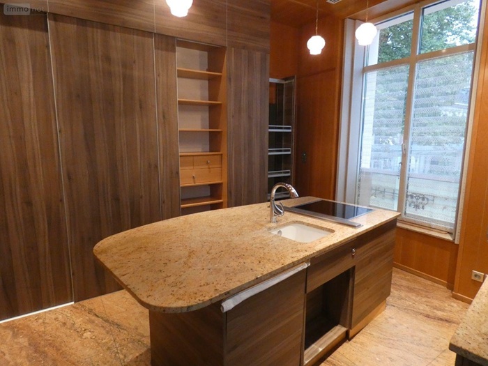 achat vente Ancien Hôtel Particulier a vendre  en parfait état , garage pour 4 véhicules Vichy , à proximité de l'Opéra ALLIER AUVERGNE