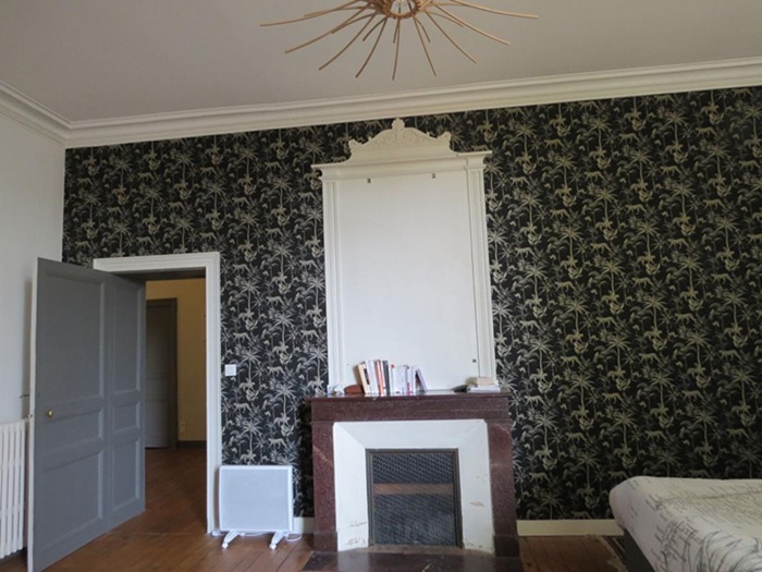 achat vente Hôtel Particulier a vendre  restauré , dépendances, piscine Fontenay-le-Comte , à 30 mn de Niort (LGV), 45 mn de La Rochelle (océan) VENDEE PAYS DE LA LOIRE