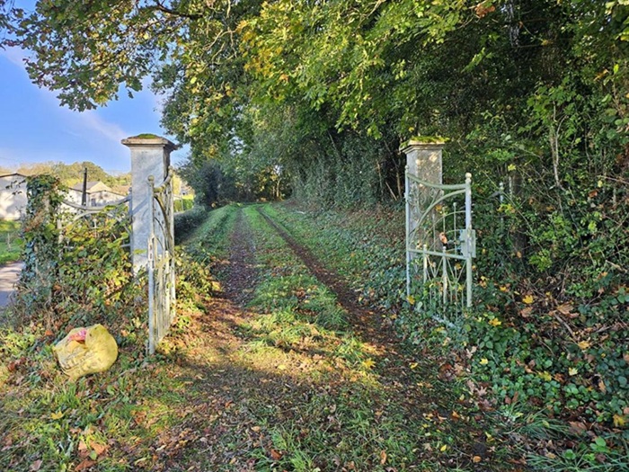 achat vente Château Classique a vendre   Moulins-Engilbert , au cœur de son parc NIEVRE BOURGOGNE