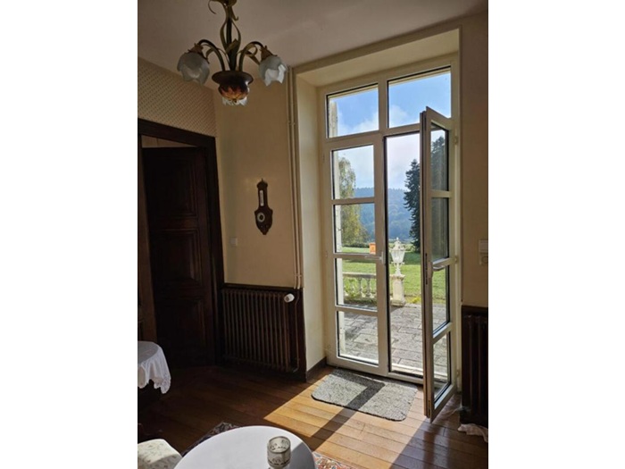 achat vente Château Classique a vendre   Moulins-Engilbert , au cœur de son parc NIEVRE BOURGOGNE