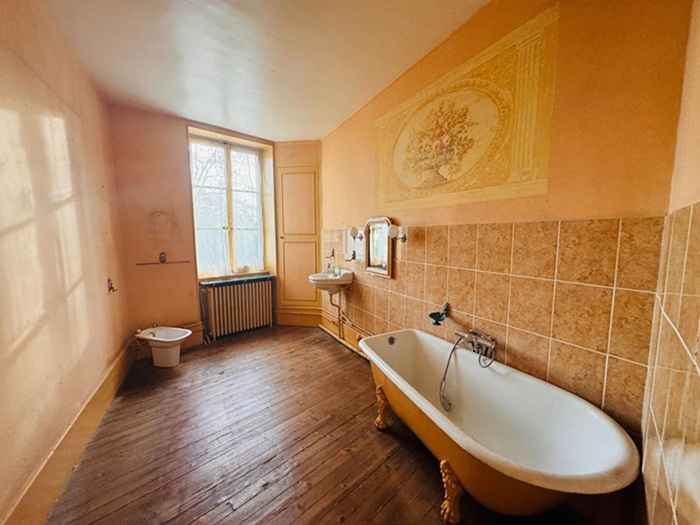 achat vente Demeure de Caractère a vendre  , dépendances Premery , centre ville, à 30 mn Nevers et La Charité/Loire, 2h Paris NIEVRE BOURGOGNE