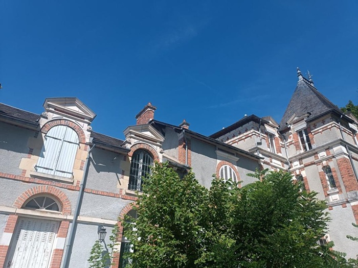 achat vente Château Classique a vendre  à restaurer , dépendances, puits Cosne-Cours-sur-Loire , 1h30 de Paris NIEVRE BOURGOGNE