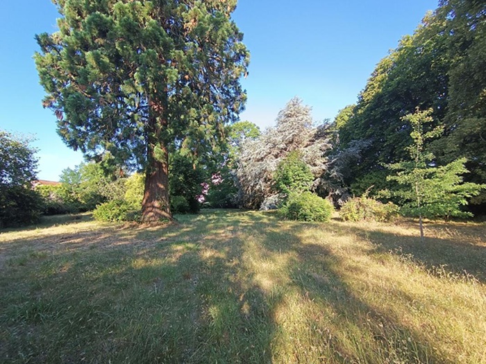 achat vente Château Classique a vendre  à restaurer , dépendances, puits Cosne-Cours-sur-Loire , 1h30 de Paris NIEVRE BOURGOGNE