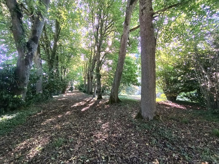 achat vente Château Classique a vendre  à restaurer , dépendances, puits Cosne-Cours-sur-Loire , 1h30 de Paris NIEVRE BOURGOGNE