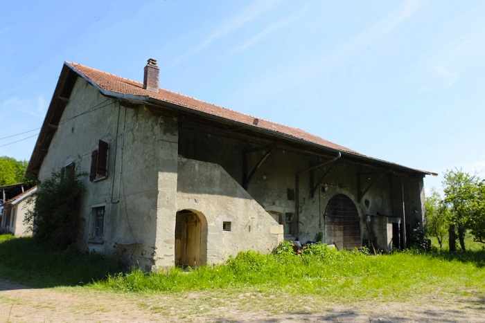achat vente Château Classique a vendre  à restaurer , dépendances Haute-Savoie , à 30 mn de Genève HAUTE SAVOIE RHONE ALPES