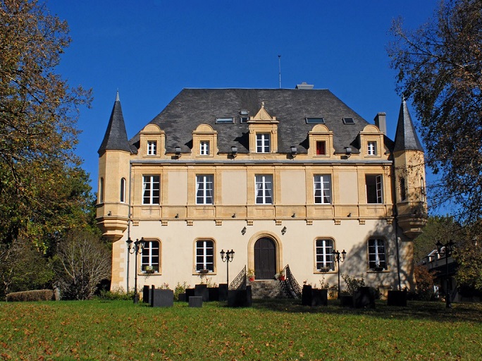 achat vente Château Classique a vendre  , appartements, dépendances Montignac , au cœur du Périgord noir DORDOGNE AQUITAINE